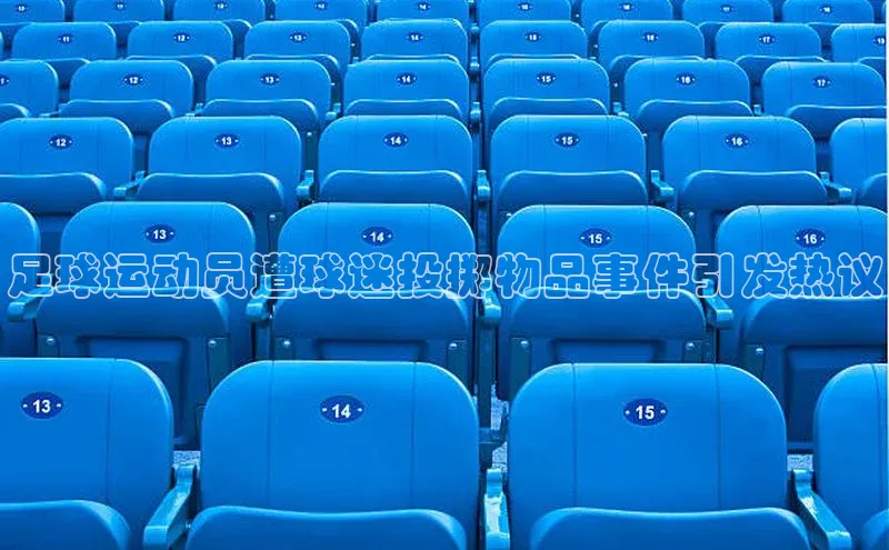 天富注册登陆测速京东足球运动员遭球迷投掷物品事件引发热议