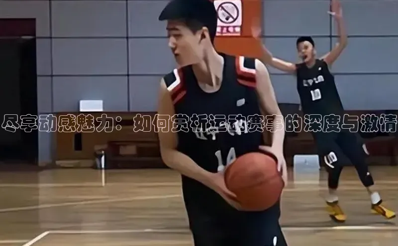 天富会员登录元隆雅图尽享动感魅力：如何赏析运动赛事的深度与激情