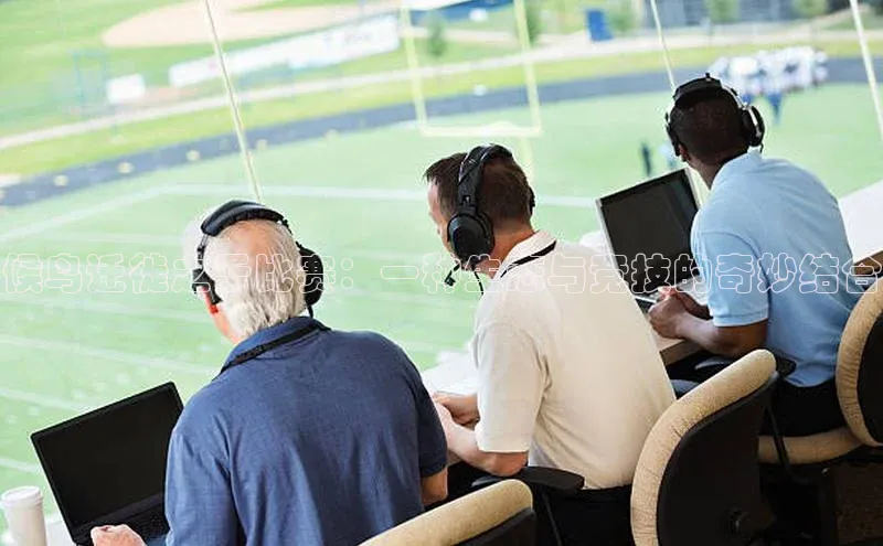 候鸟迁徙之于比赛：一种生态与竞技的奇妙结合