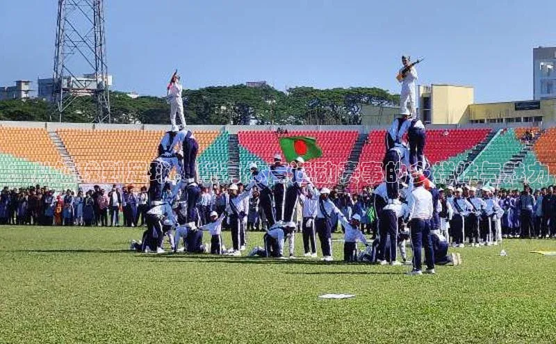 ：从篮球到足球，所有体育运动赛事的多样性与魅力