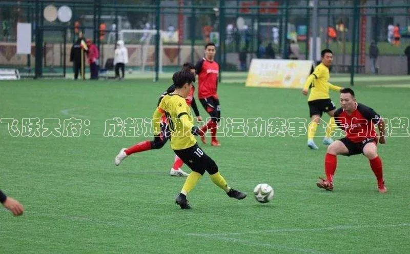 飞跃天府：成都近期大型运动赛事全景与展望