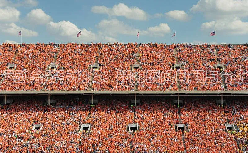 运动会赛事快报：精彩瞬间回顾与分析