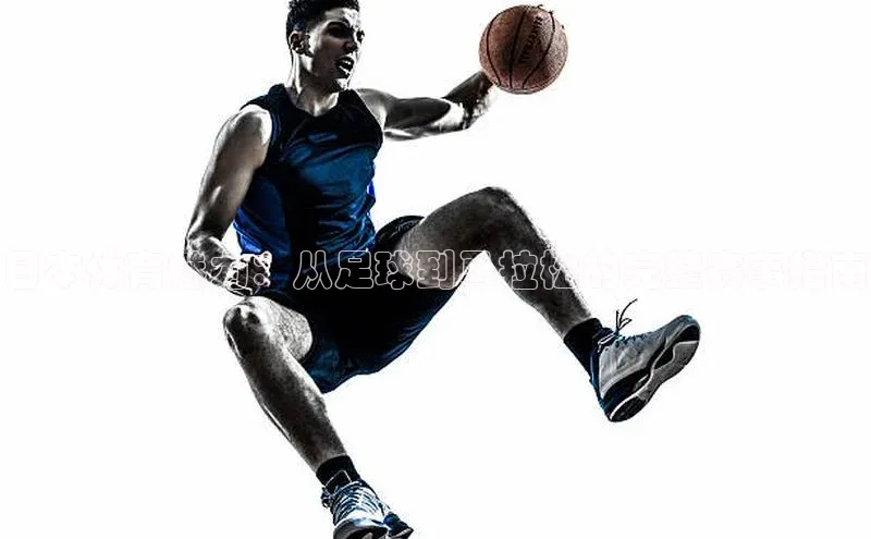 日本体育魅力：从足球到马拉松的完整赛事指南