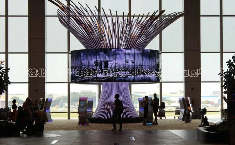 活力桂北：2023年桂林国际体操锦标赛精彩回顾与展望