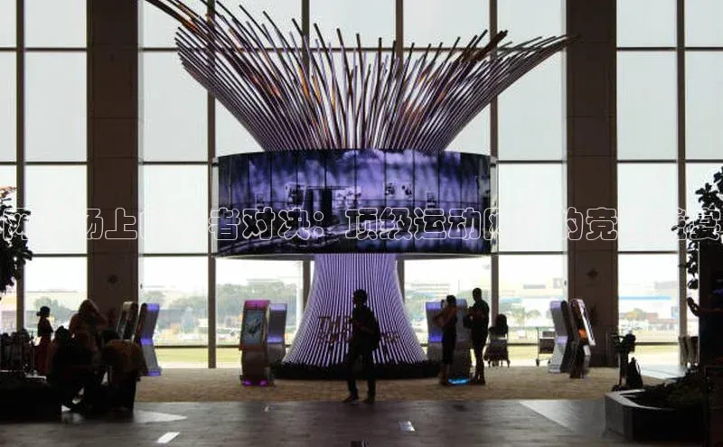 网球场上的王者对决：顶级运动网球的竞技盛宴