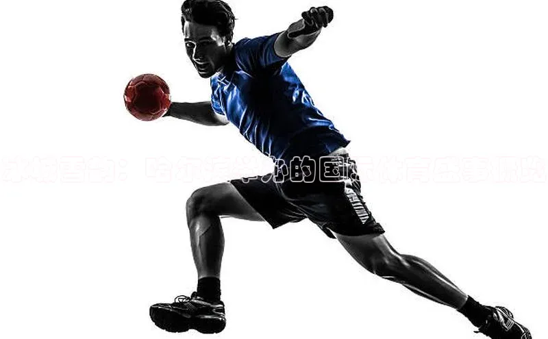 冰城雪韵：哈尔滨举办的国际体育盛事概览