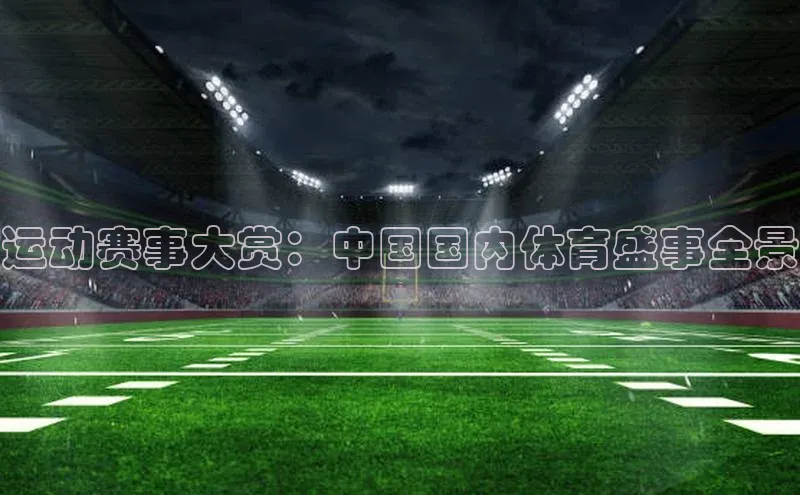 运动赛事大赏：中国国内体育盛事全景