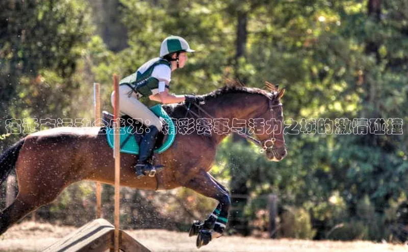 宿迁市运动会盛况：精彩赛事与活力之城的激情碰撞