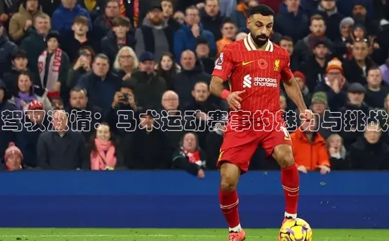 驾驭激情：马术运动赛事的魅力与挑战