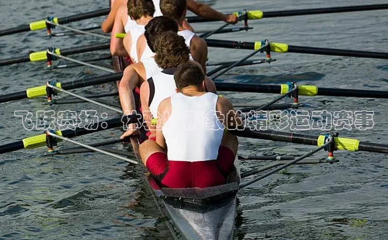 飞跃赛场：体验IP形象的精彩运动赛事